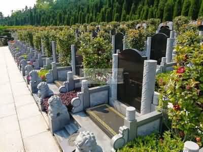 喪禮中的其它以禮入法現象